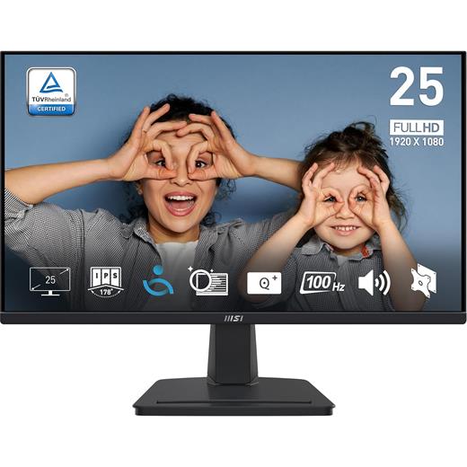 MSI PRO MP251 24.5